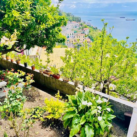 דירות Vietri Borgo Virginia - Sea View In Amalfi Coast מראה חיצוני תמונה
