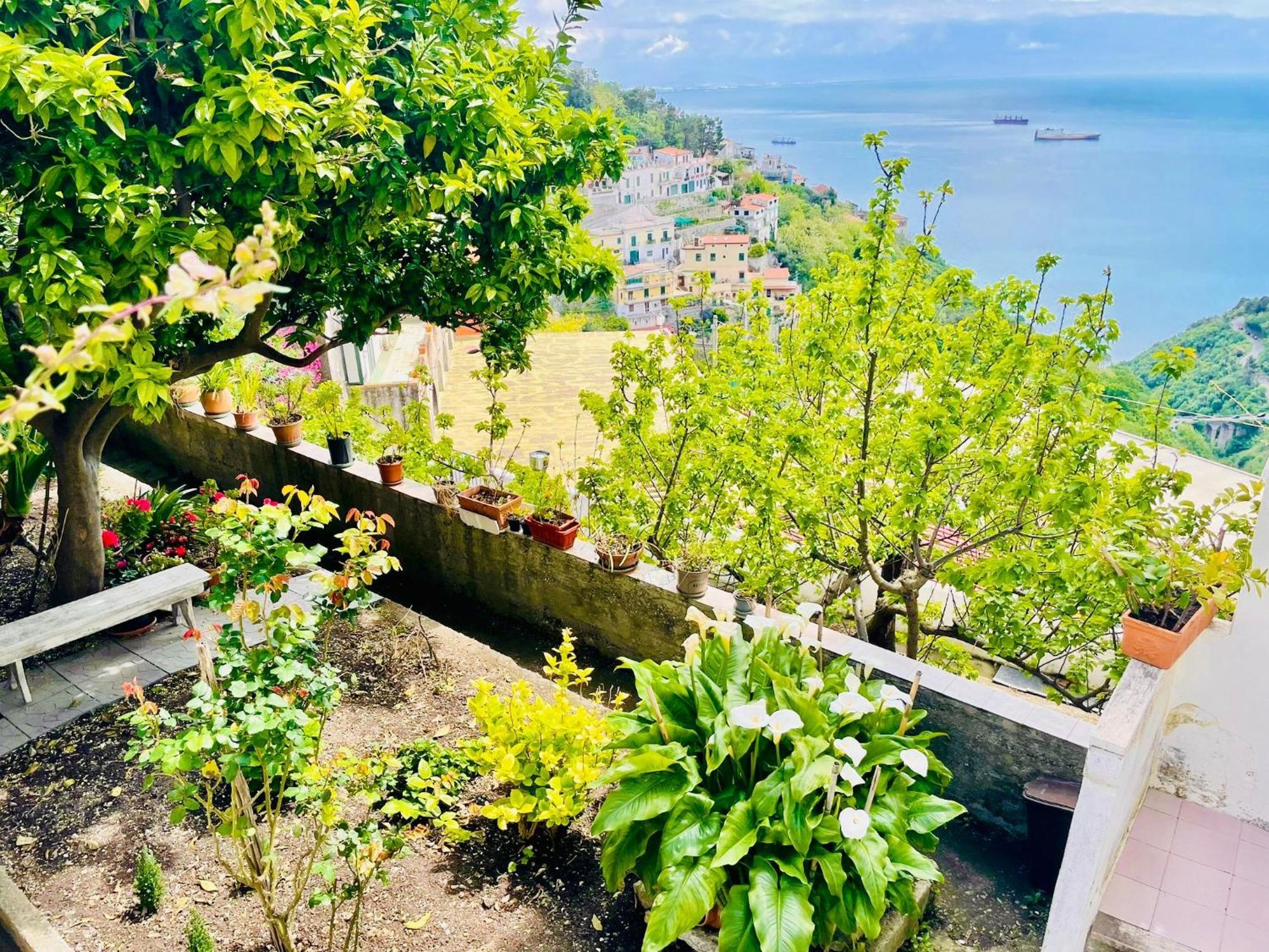 דירות Vietri Borgo Virginia - Sea View In Amalfi Coast מראה חיצוני תמונה