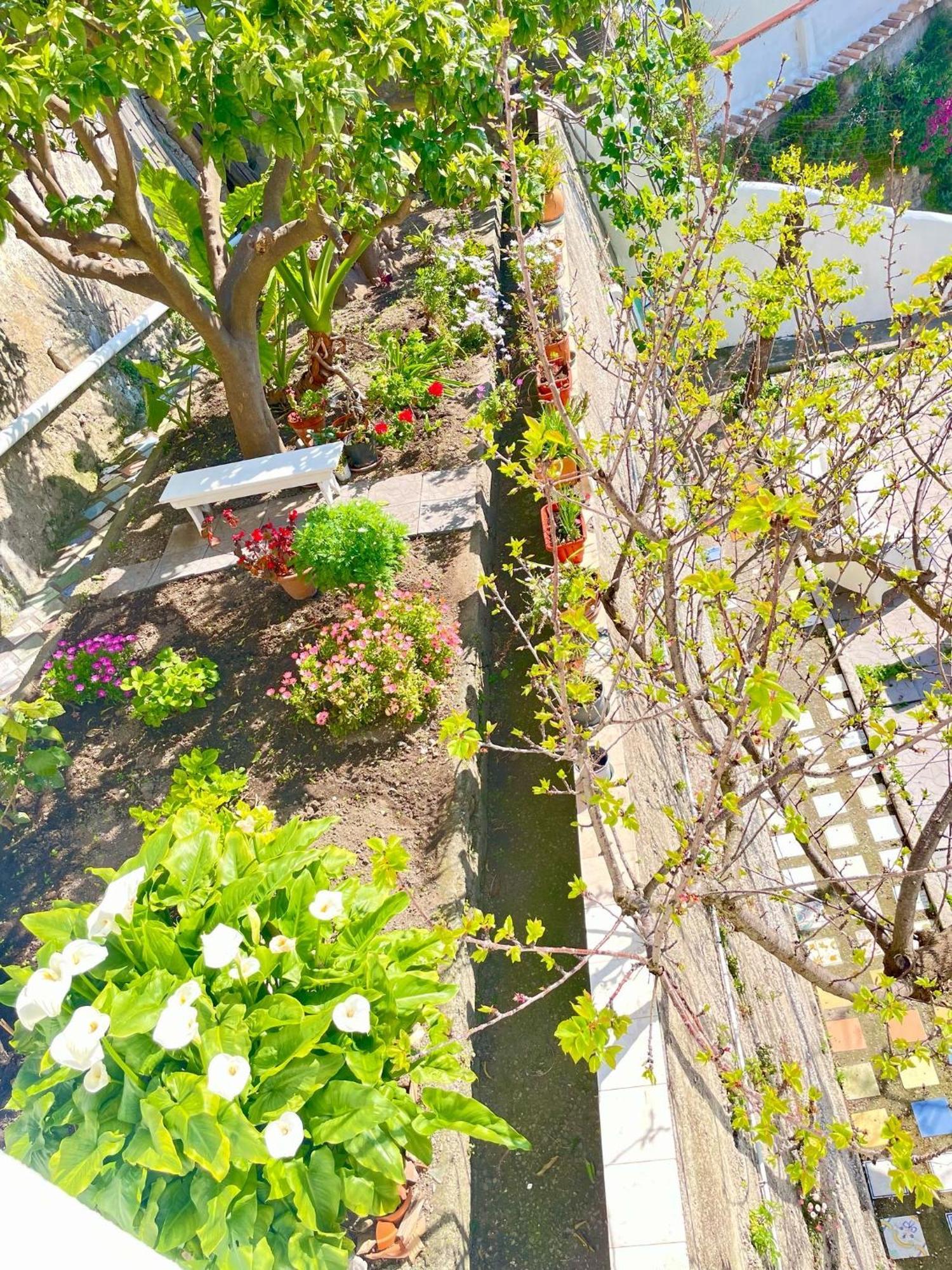 דירות Vietri Borgo Virginia - Sea View In Amalfi Coast מראה חיצוני תמונה